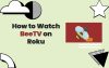How-to-Watch-BeeTV-on-Roku-