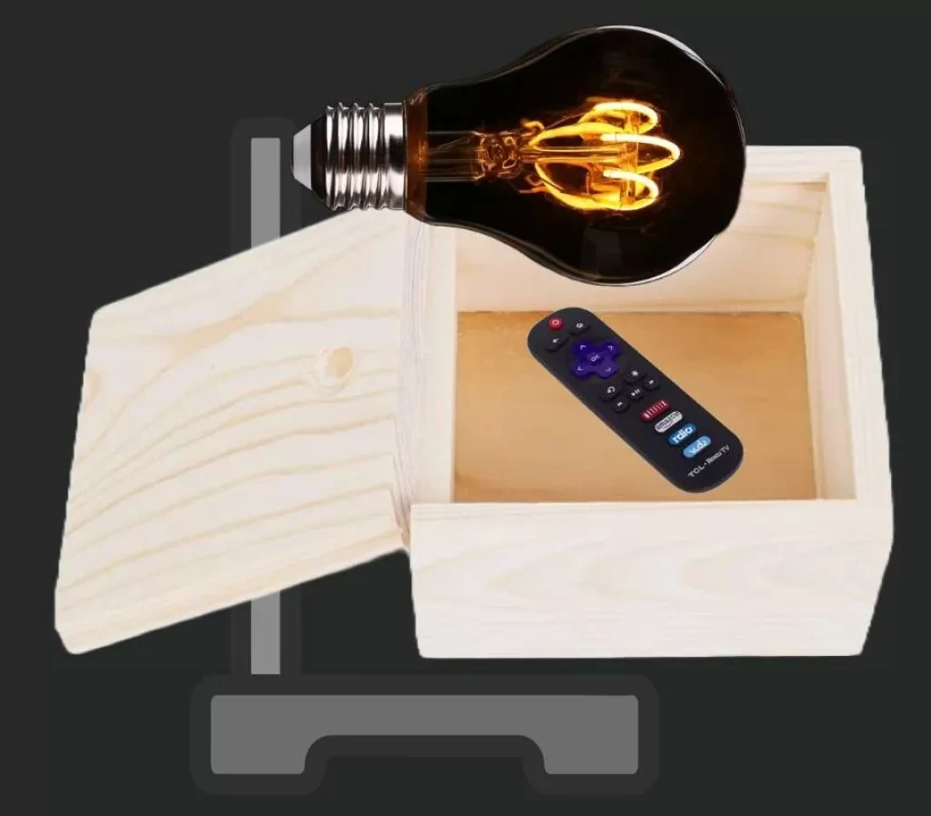 Dry the Remote Using a Flament Bulb