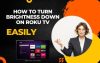 How to Turn Brightness Down on Roku TV