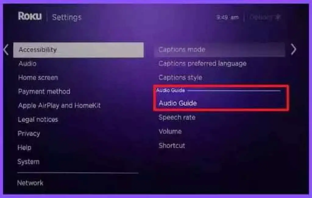 Showing Audio Guide options on Roku