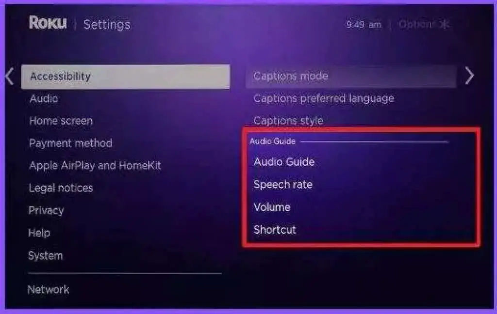 Showing the Audio Guide option on Roku
