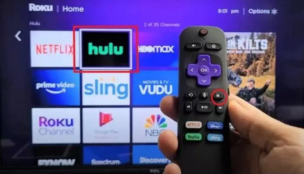 Using the Roku remote, the selection box is on the channel app and is showing the asterisk key.