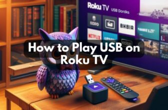 How to Play USB on Roku TV