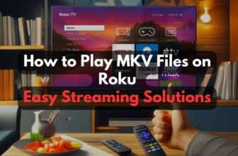 How to Play MKV Files on Roku