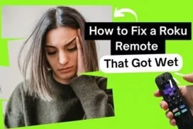 How to Fix a Roku Remote That Got Wet