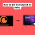 How to Get Sony Crackle on Roku – All Questions Answered