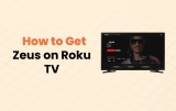 How to Get Zeus on Roku TV [Easy Steps]