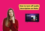 How to turn off audio description on Roku